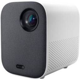 Projector